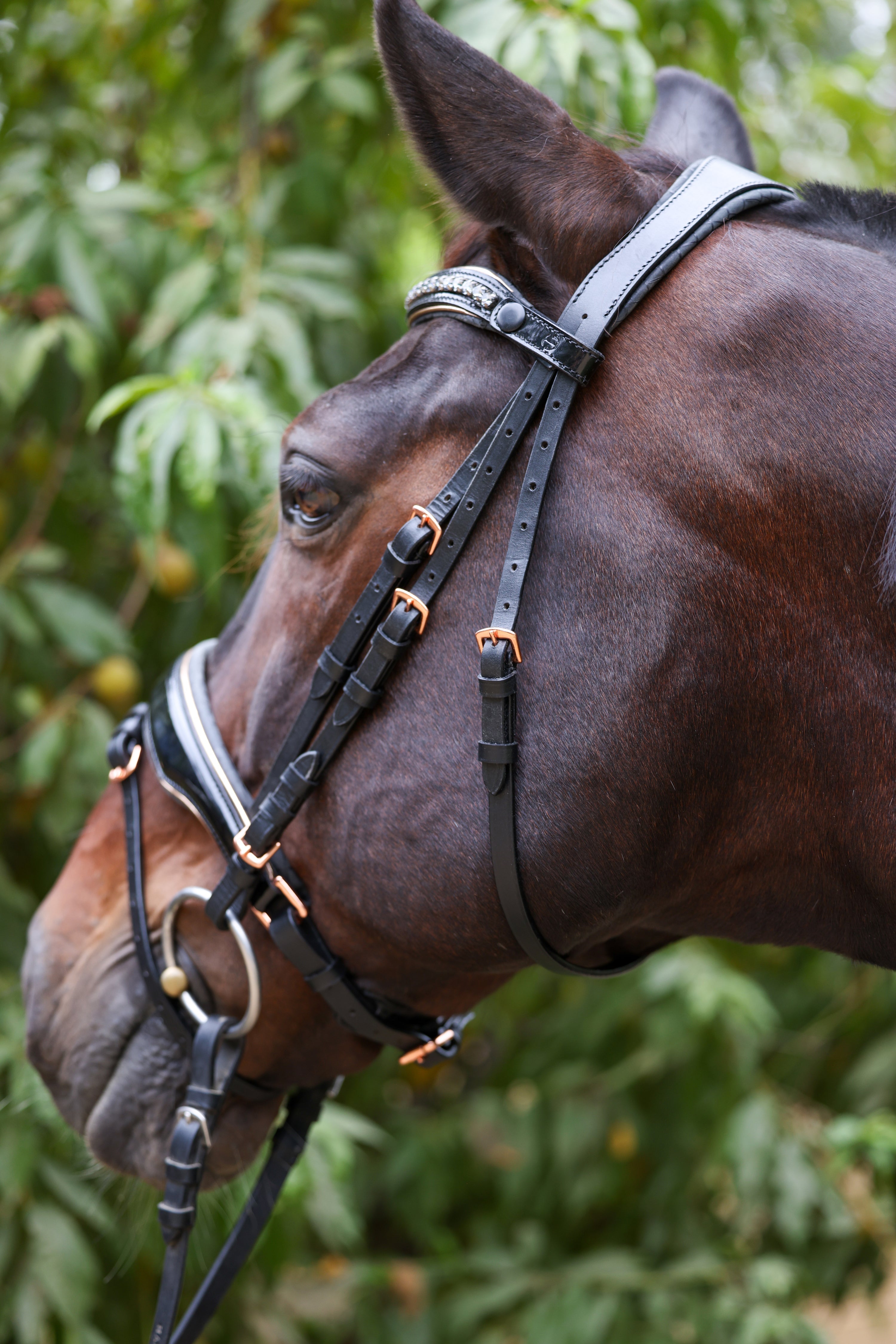 Halter Ego New Yorker Rose Gold Black Patent Snaffle Bridle - Halter Ego® - Equiluxe Tack