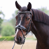 Halter Ego New Yorker Rose Gold Black Patent Snaffle Bridle - Halter Ego® - Equiluxe Tack