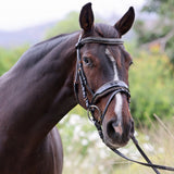 Halter Ego New Yorker Rose Gold Black Patent Snaffle Bridle - Halter Ego® - Equiluxe Tack