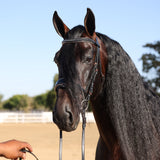 Halter Ego New Yorker Rose Gold Black Patent Snaffle Bridle - Halter Ego® - Equiluxe Tack