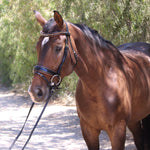 Halter Ego Palermo - Black Patent Brown Padding Sparkle Snaffle Bridle - Halter Ego® - Equiluxe Tack