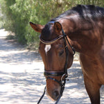 Halter Ego Palermo - Black Patent Brown Padding Sparkle Snaffle Bridle - Halter Ego® - Equiluxe Tack