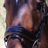 Halter Ego Palermo - Black Patent Brown Padding Sparkle Snaffle Bridle - Halter Ego® - Equiluxe Tack