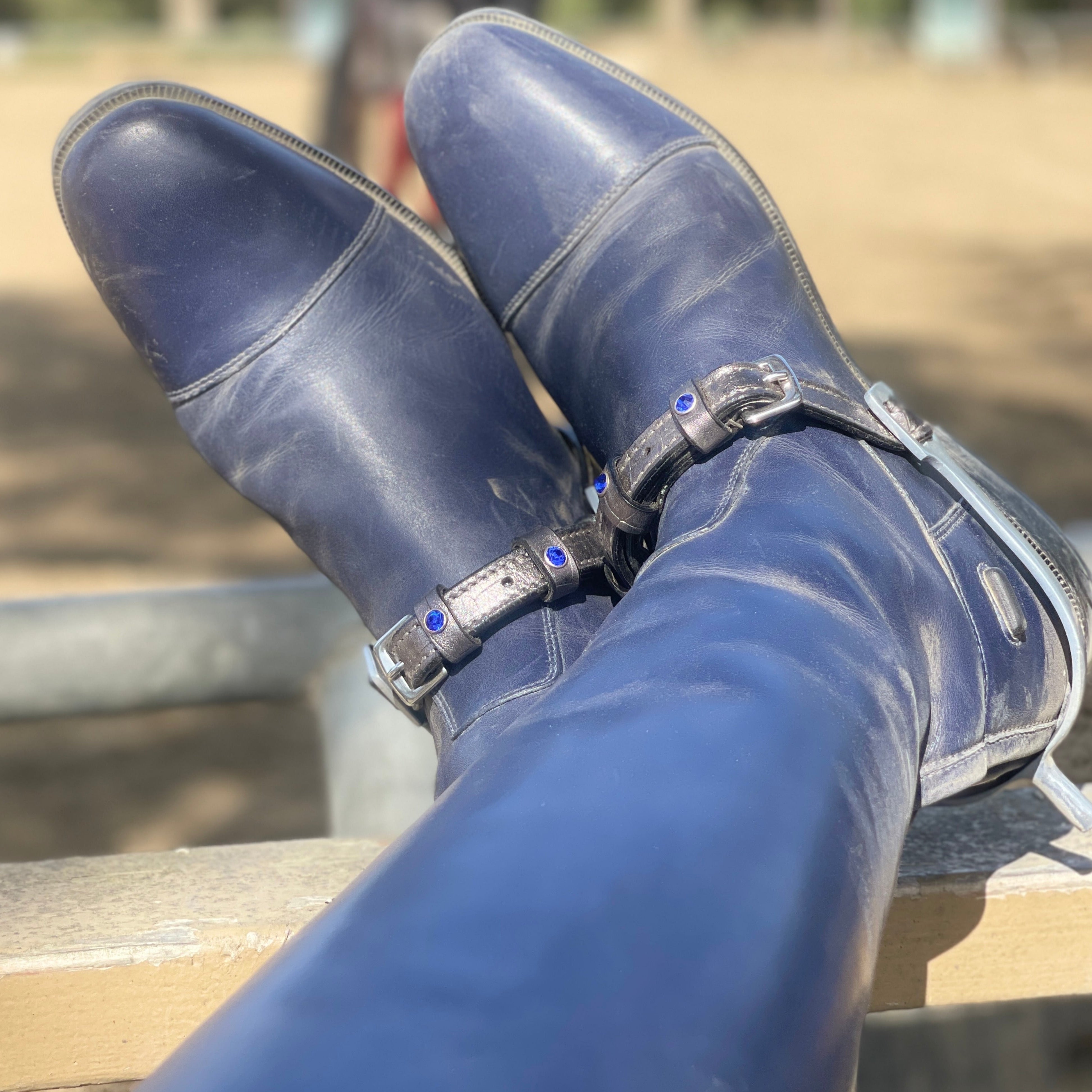 Halter Ego Petra Crystal Spur Straps - Halter Ego® - Equiluxe Tack