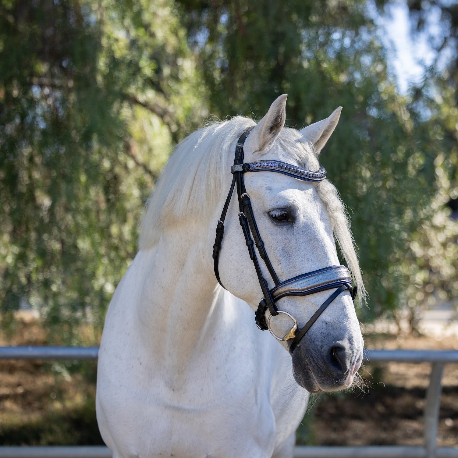 Halter Ego Petra Leather Snaffle Bridle - Halter Ego® - Equiluxe Tack