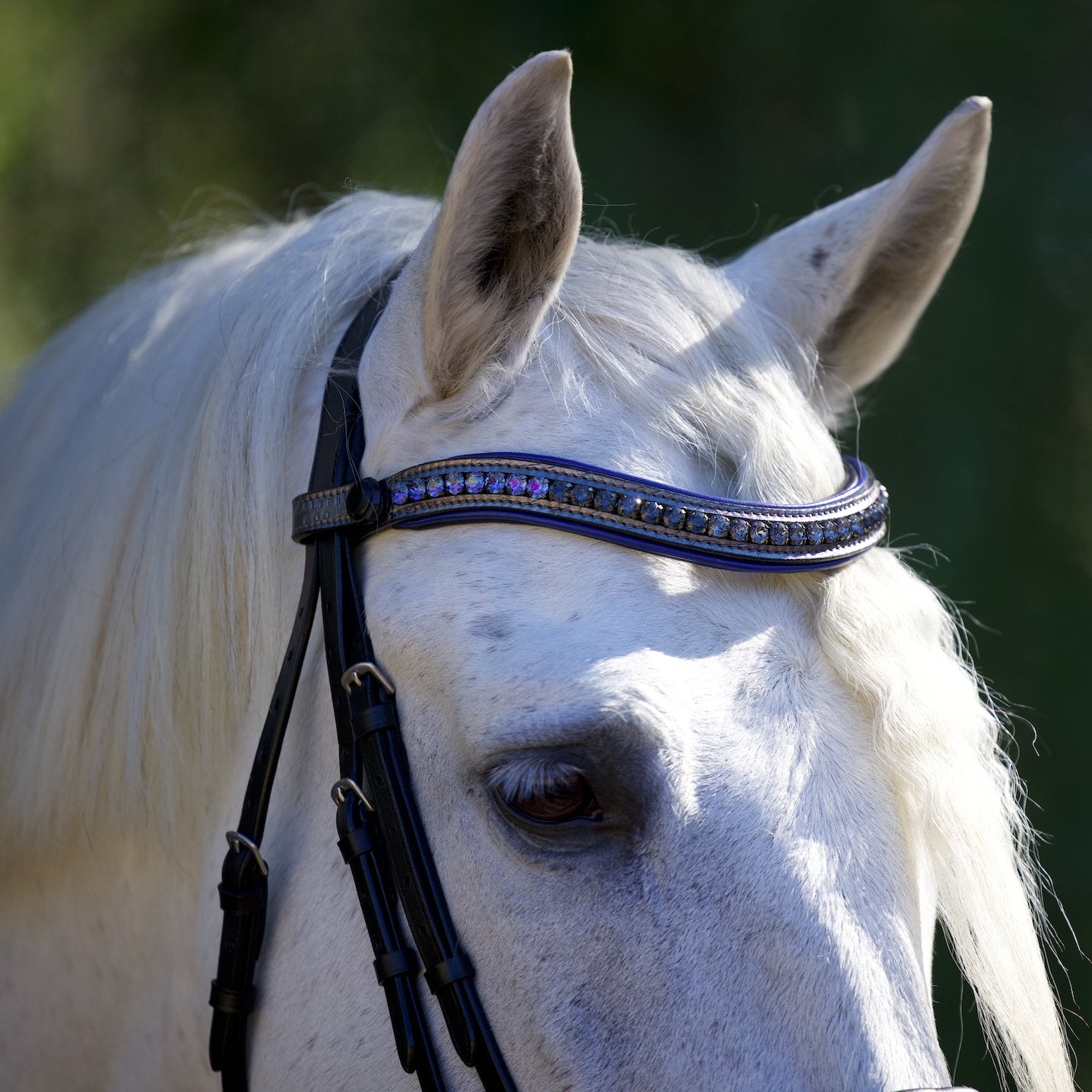 Halter Ego Petra Leather Snaffle Bridle - Halter Ego® - Equiluxe Tack