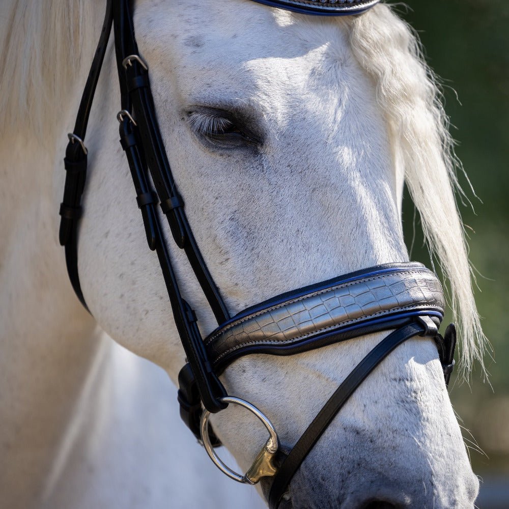 Halter Ego Petra Leather Snaffle Bridle - Halter Ego® - Equiluxe Tack