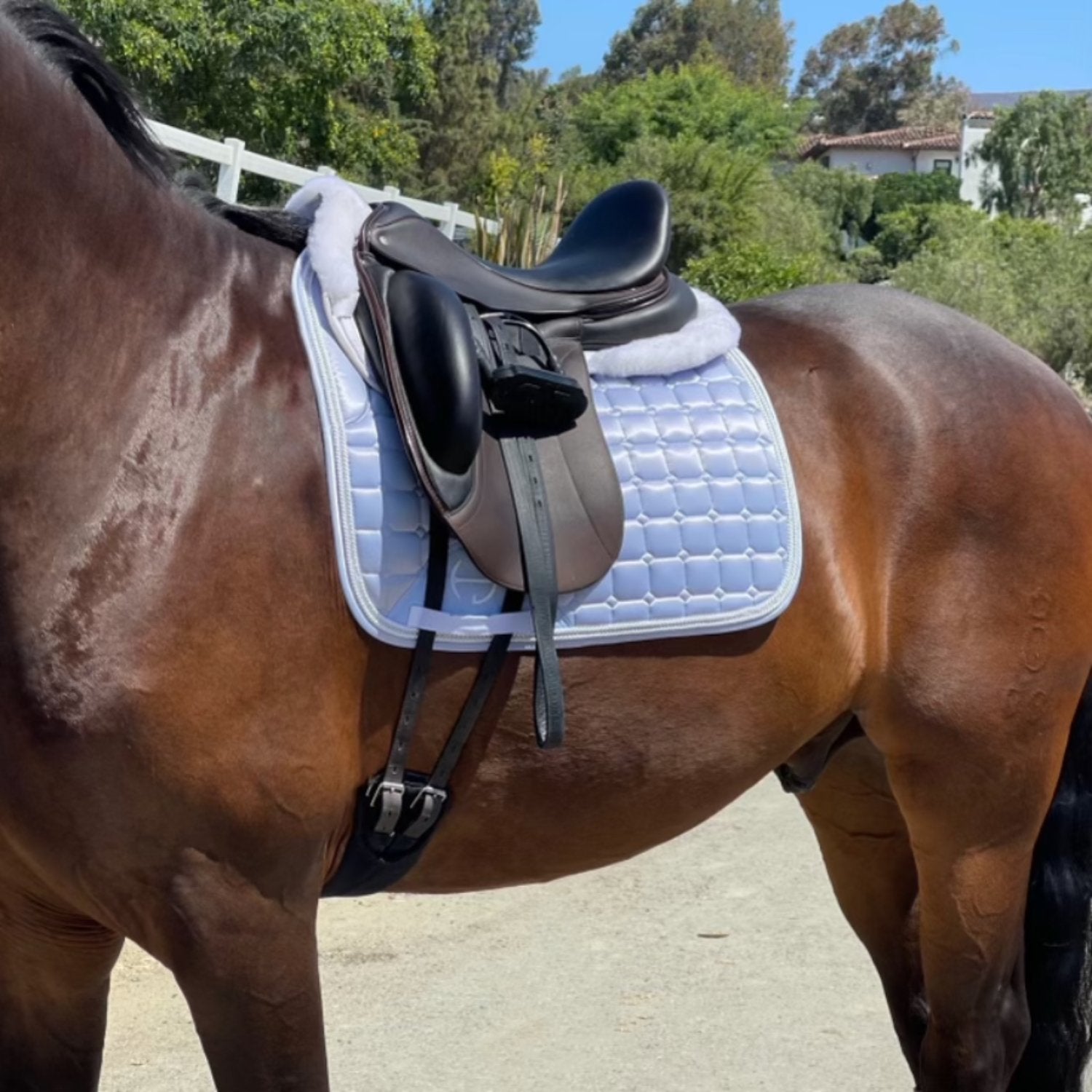 Halter Ego Satin Classic Dressage Saddle Pad - Lavender Mist - Halter Ego® - Equiluxe Tack