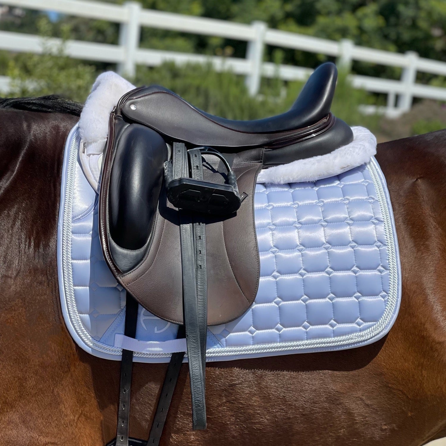 Halter Ego Satin Classic Dressage Saddle Pad - Lavender Mist - Halter Ego® - Equiluxe Tack