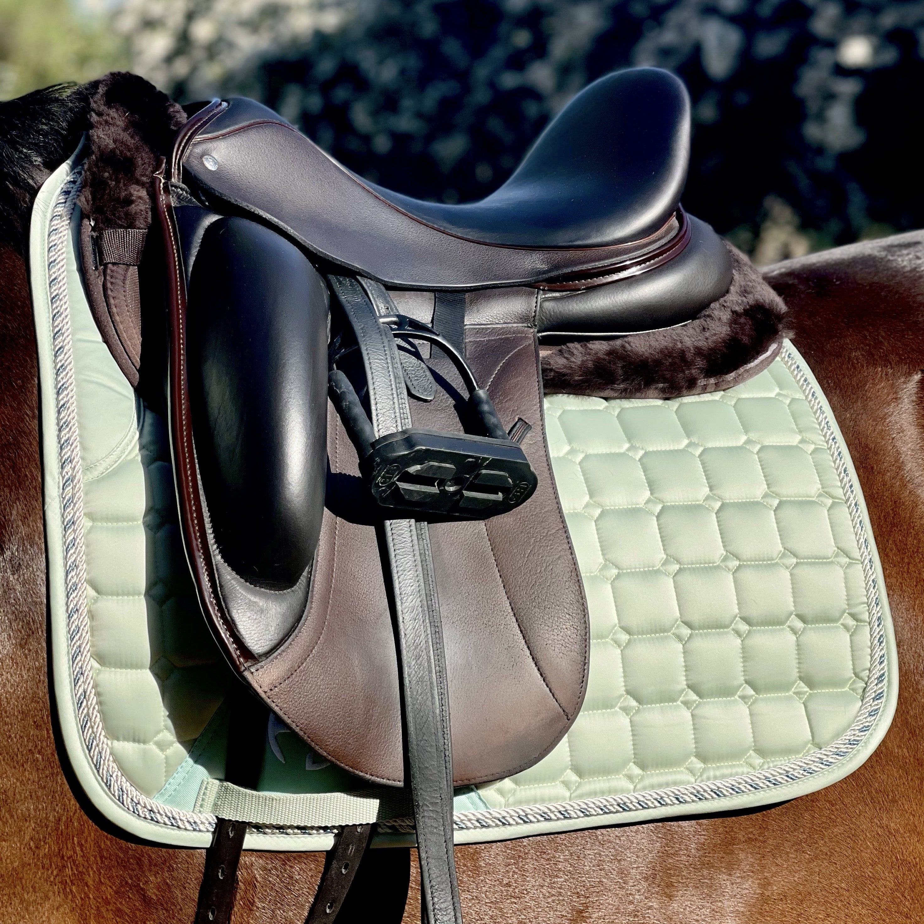 Halter Ego Satin Classic Dressage Saddle Pad - Mint Sorbet - Halter Ego® - Equiluxe Tack