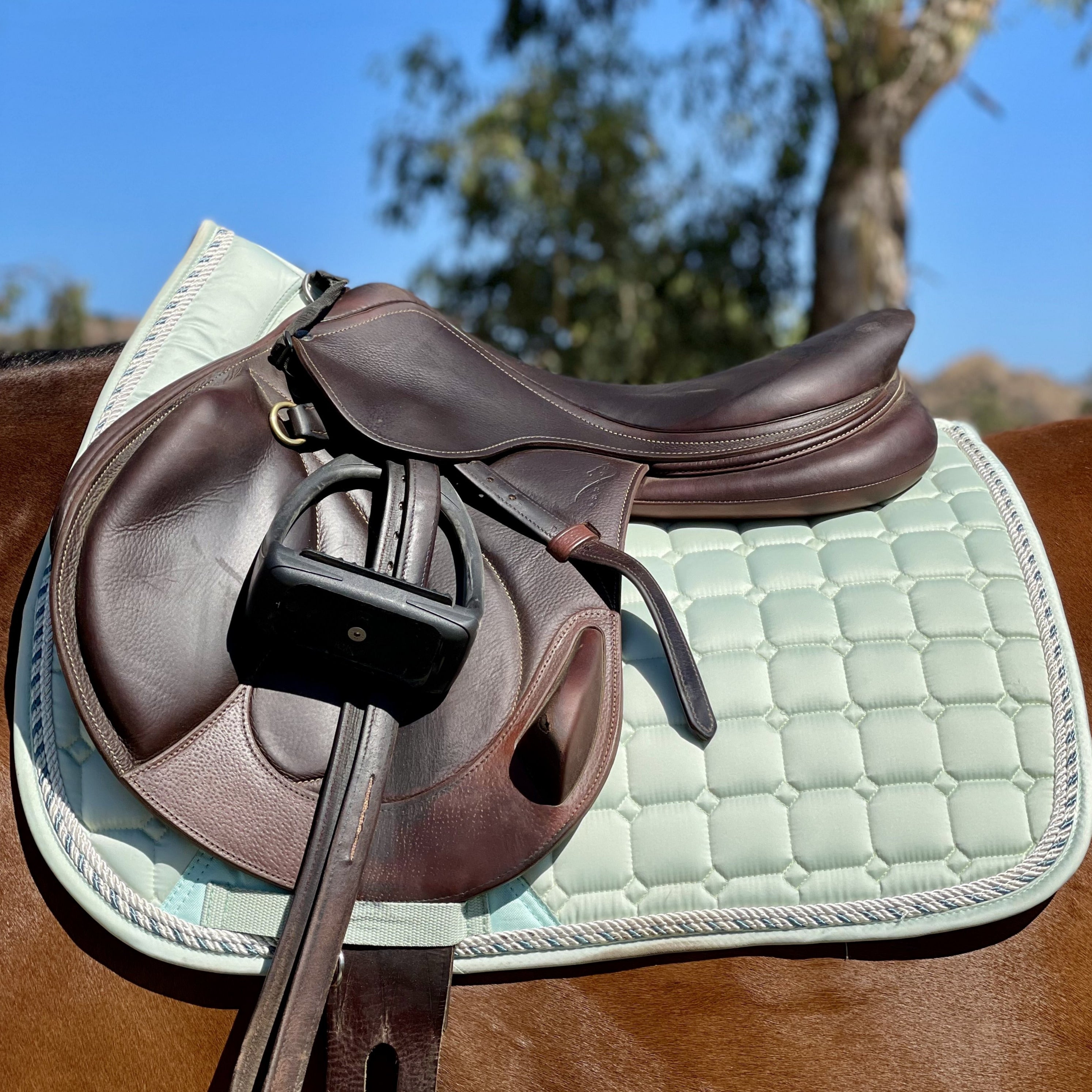 Halter Ego Satin Classic Jump Saddle Pad - Mint Sorbet - Halter Ego® - Equiluxe Tack