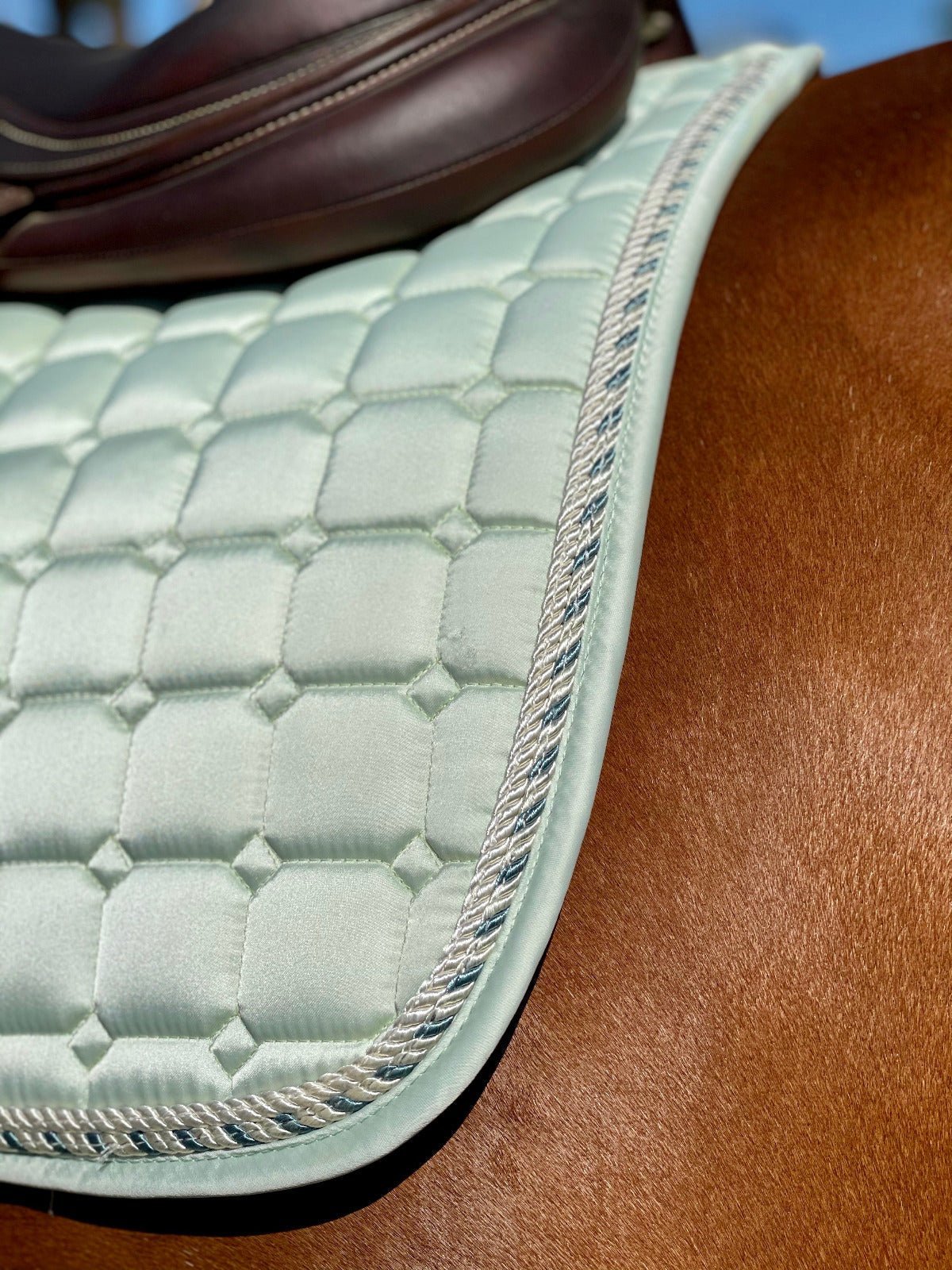 Halter Ego Satin Classic Jump Saddle Pad - Mint Sorbet - Halter Ego® - Equiluxe Tack