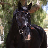 Halter Ego Scirocco - Maple Brown Leather Snaffle with Metallic Navy Padding and Bronze Glitter Piping - Halter Ego® - Equiluxe Tack