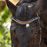 Halter Ego Scirocco - Maple Brown Leather Snaffle with Metallic Navy Padding and Bronze Glitter Piping - Halter Ego® - Equiluxe Tack