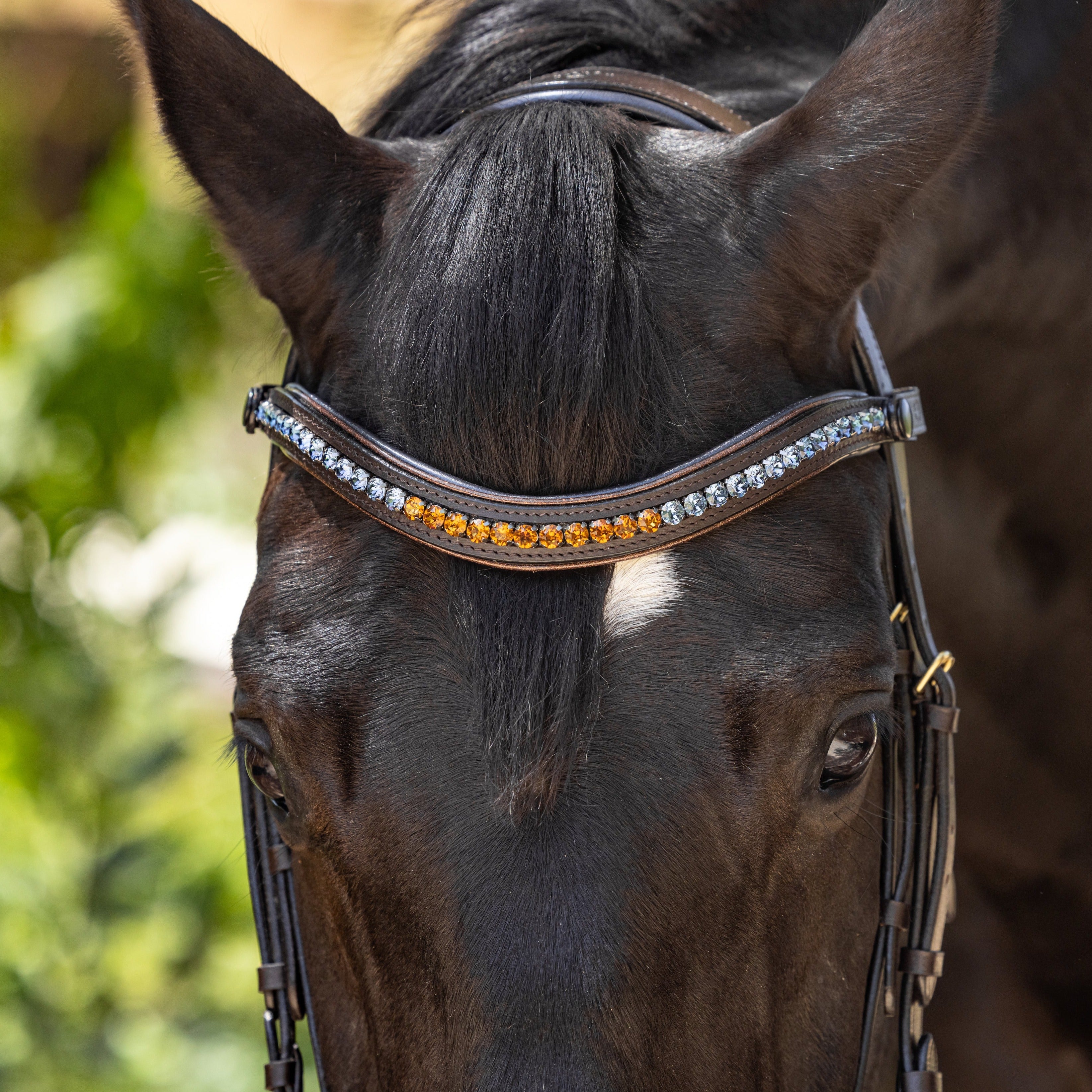 Halter Ego Scirocco - Maple Brown Leather Snaffle with Metallic Navy Padding and Bronze Glitter Piping - Halter Ego® - Equiluxe Tack