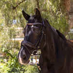 Halter Ego Scirocco - Maple Brown Leather Snaffle with Metallic Navy Padding and Bronze Glitter Piping - Halter Ego® - Equiluxe Tack