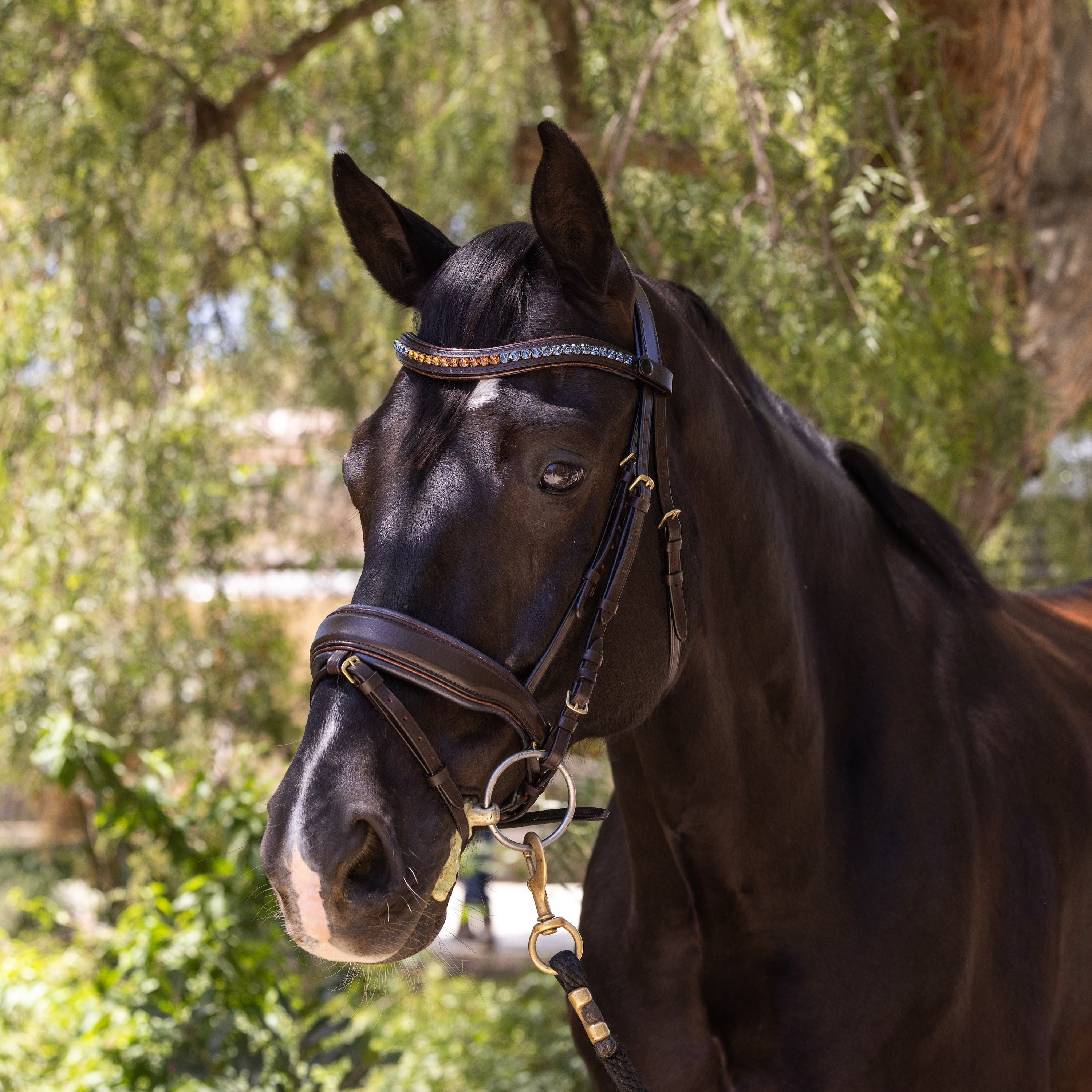 Halter Ego Scirocco - Maple Brown Leather Snaffle with Metallic Navy Padding and Bronze Glitter Piping - Halter Ego® - Equiluxe Tack