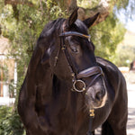Halter Ego Scirocco - Maple Brown Leather Snaffle with Metallic Navy Padding and Bronze Glitter Piping - Halter Ego® - Equiluxe Tack