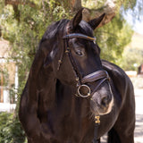 Halter Ego Scirocco - Maple Brown Leather Snaffle with Metallic Navy Padding and Bronze Glitter Piping - Halter Ego® - Equiluxe Tack