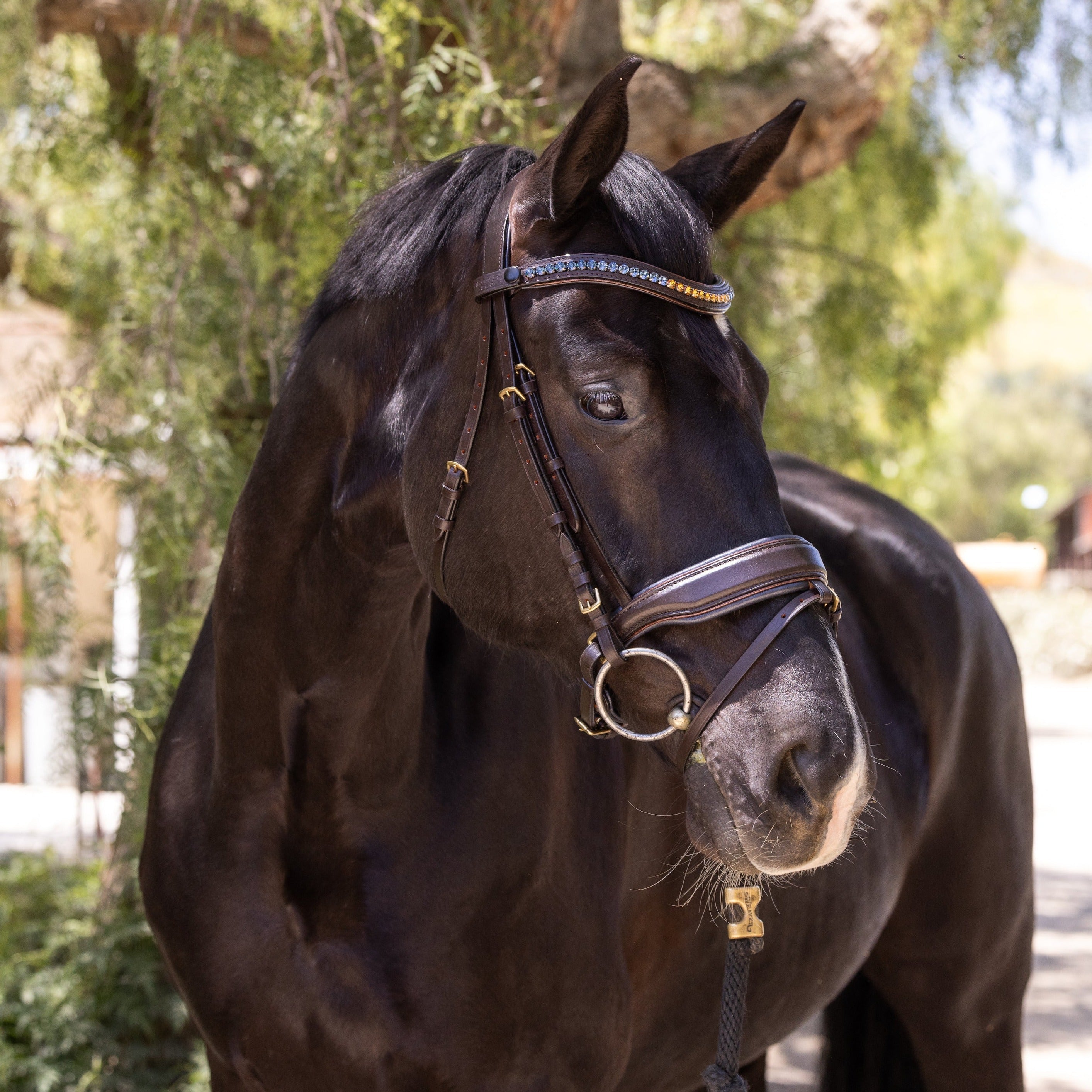 Halter Ego Scirocco - Maple Brown Leather Snaffle with Metallic Navy Padding and Bronze Glitter Piping - Halter Ego® - Equiluxe Tack