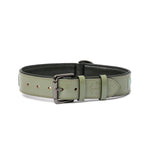 Halter Ego Sea Glass Leather Dog Collar - Equiluxe Tack