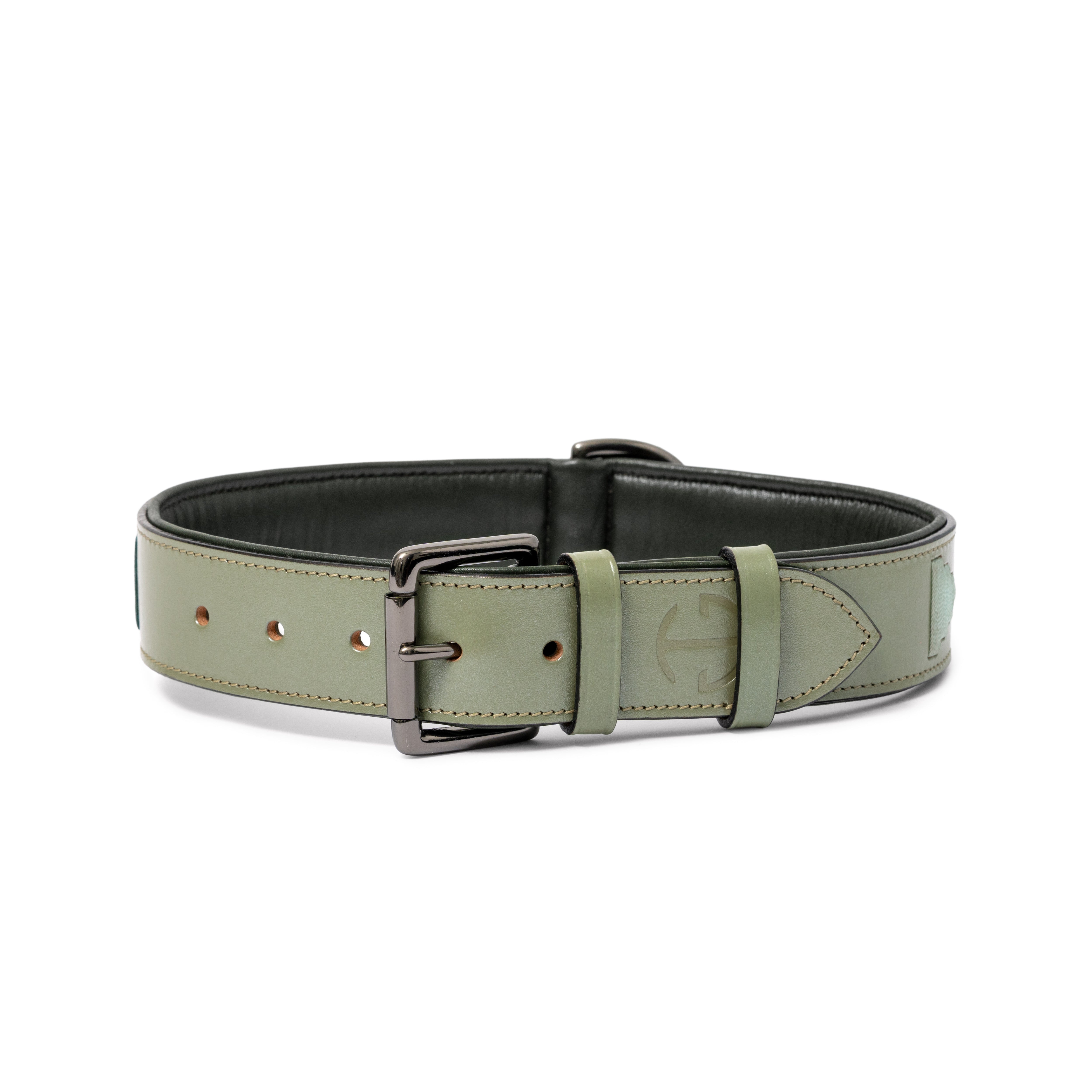 Halter Ego Sea Glass Leather Dog Collar - Equiluxe Tack