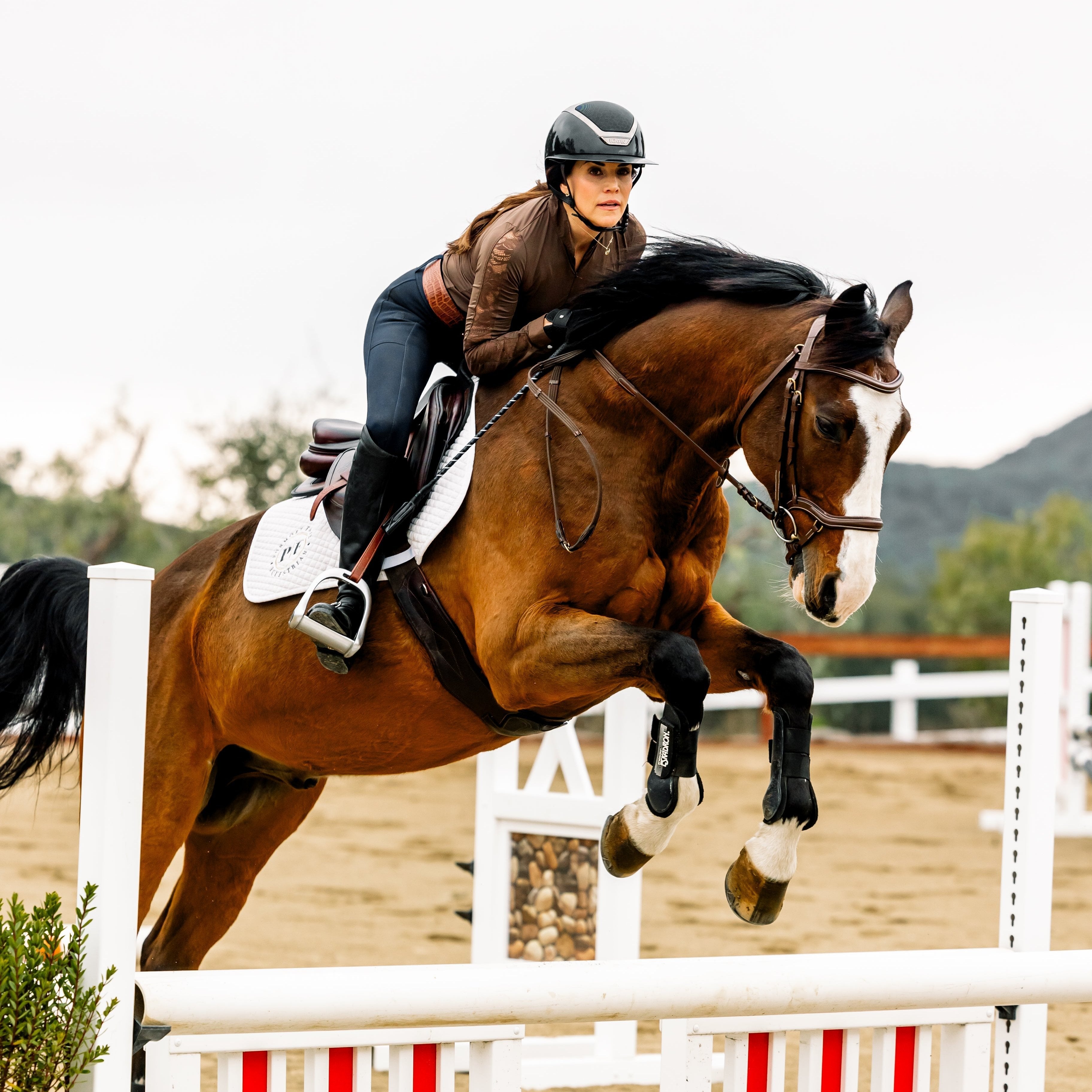 Halter Ego Sloane Hybrid Full Seat Breggings - Halter Ego® - Equiluxe Tack