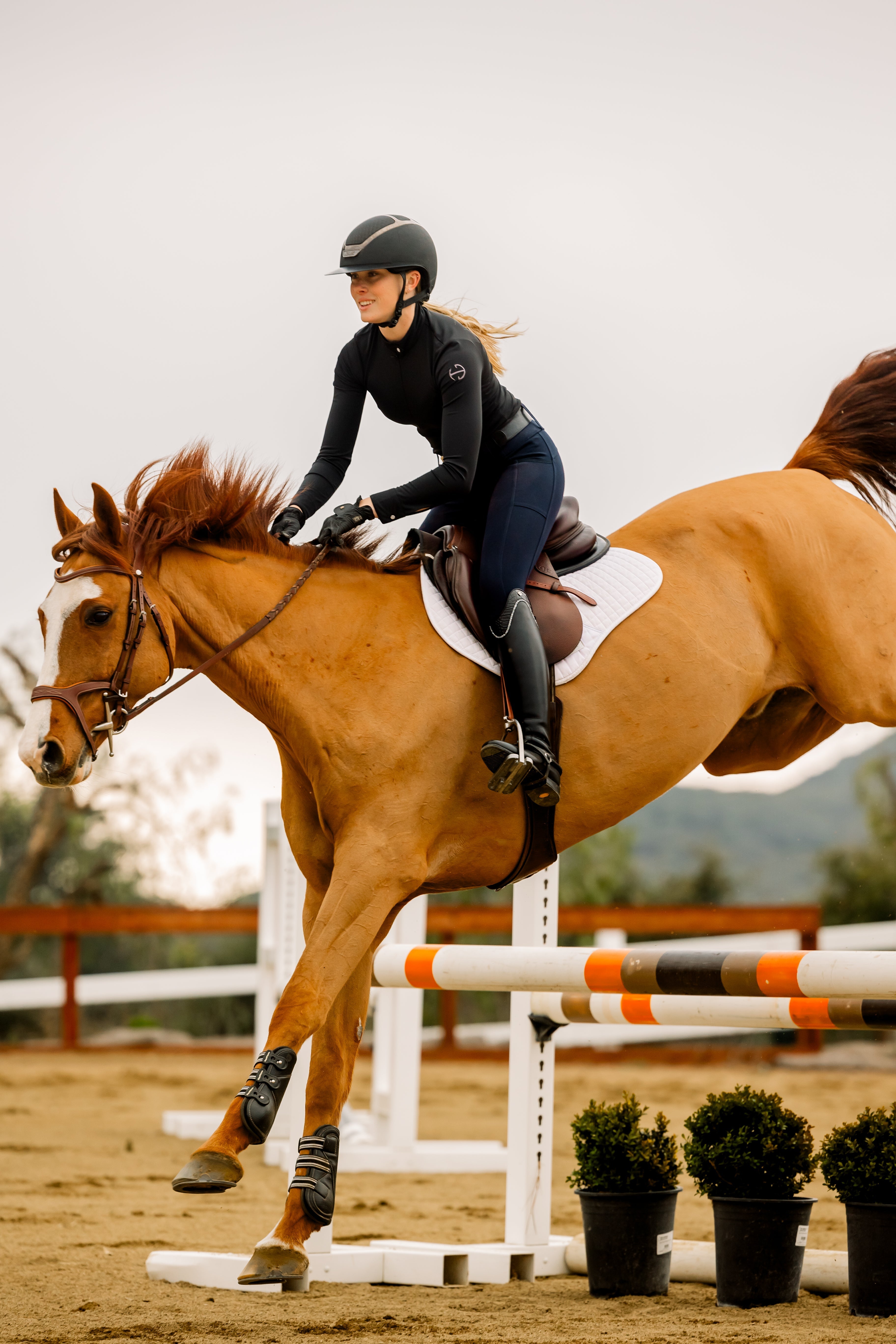 Halter Ego Sloane Hybrid Full Seat Breggings - Halter Ego® - Equiluxe Tack