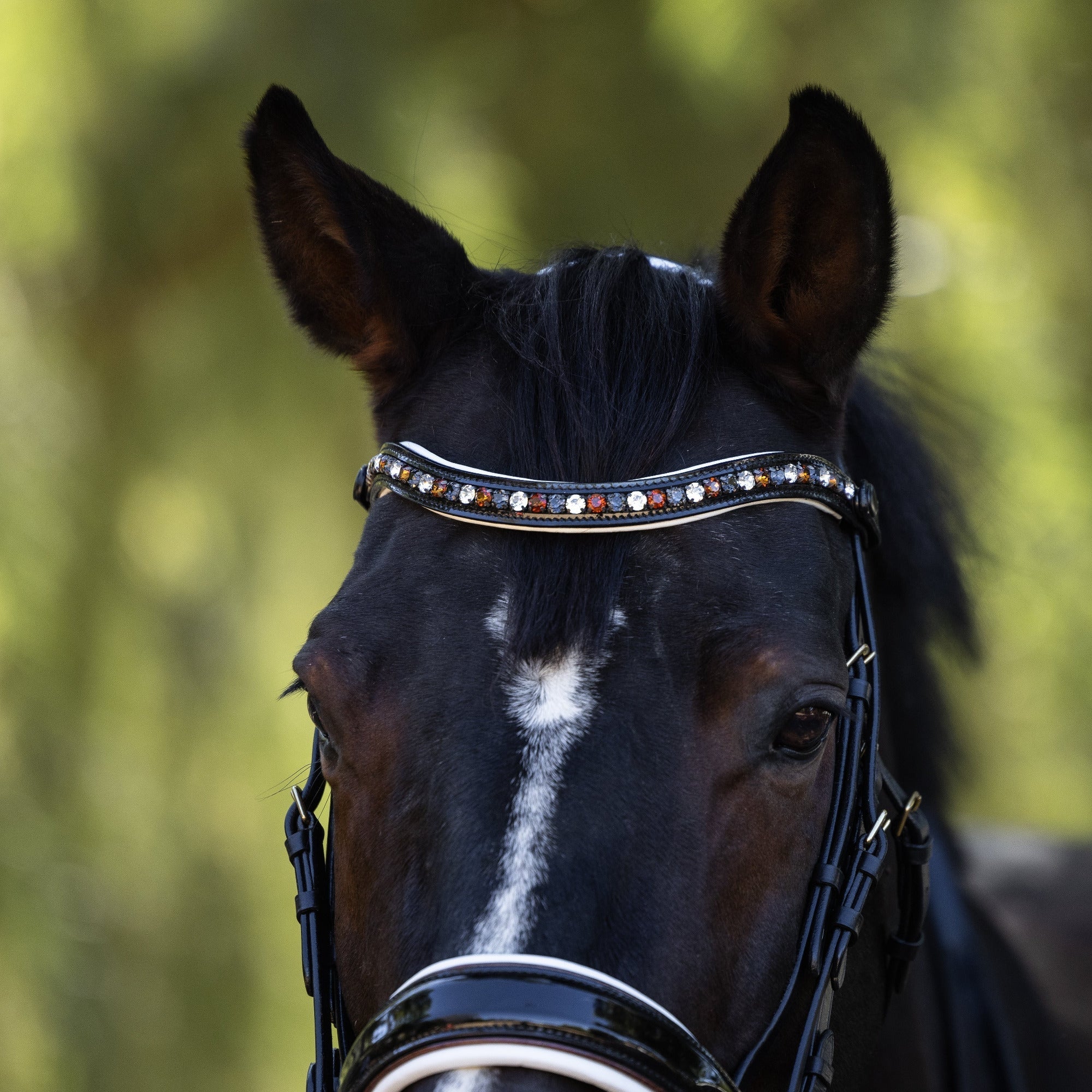 Halter Ego Taos Black Patent Snaffle Bridle - Halter Ego® - Equiluxe Tack