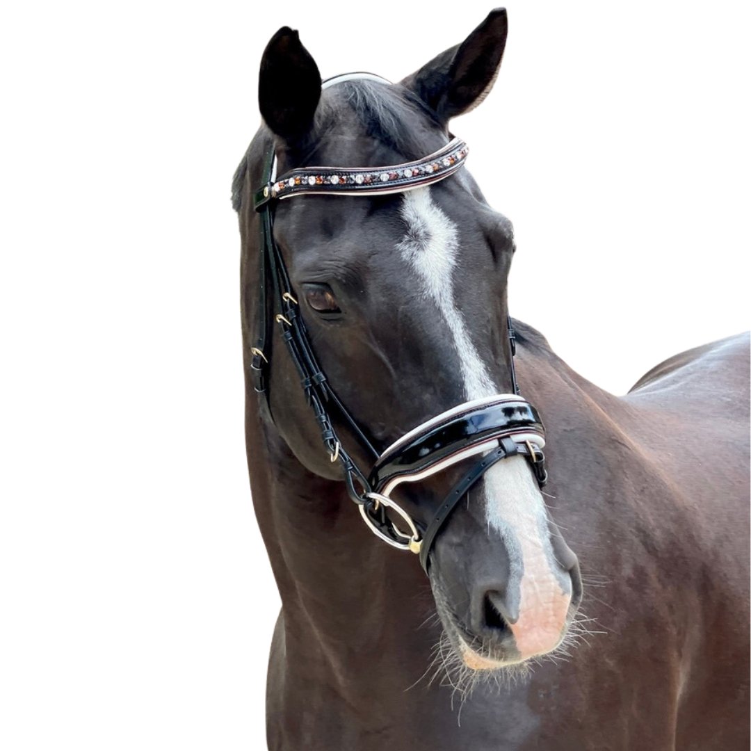 Halter Ego Taos Black Patent Snaffle Bridle - Halter Ego® - Equiluxe Tack