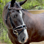 Halter Ego Taos Black Patent Snaffle Bridle - Halter Ego® - Equiluxe Tack