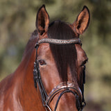 Halter Ego The Baroque Black Snaffle Bridle with Light Brown Padding - Halter Ego® - Equiluxe Tack