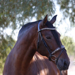 Halter Ego The Baroque Black Snaffle Bridle with Light Brown Padding - Halter Ego® - Equiluxe Tack