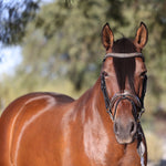 Halter Ego The Baroque Black Snaffle Bridle with Light Brown Padding - Halter Ego® - Equiluxe Tack