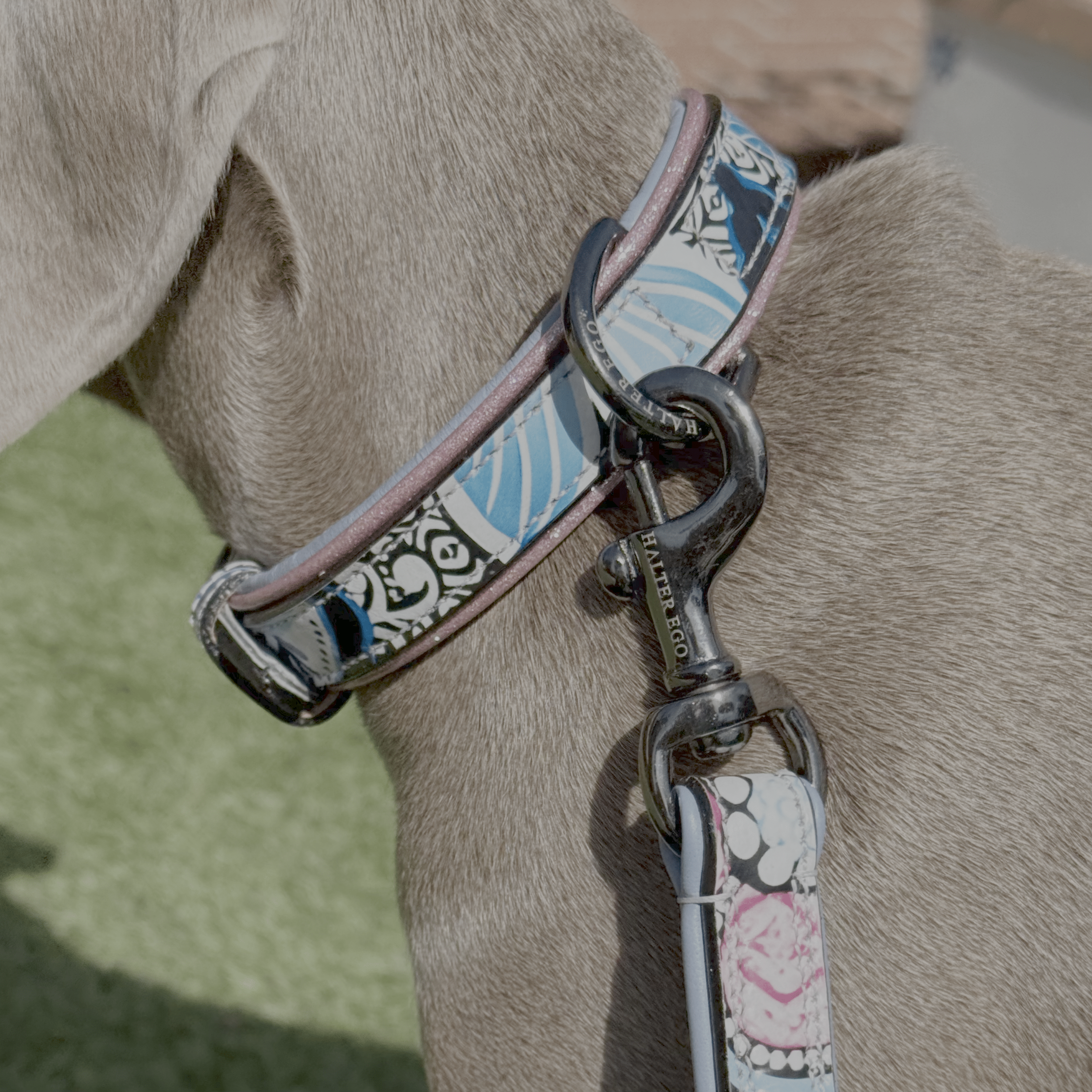 Halter Ego The Blossom Leather Dog Leash - Equiluxe Tack