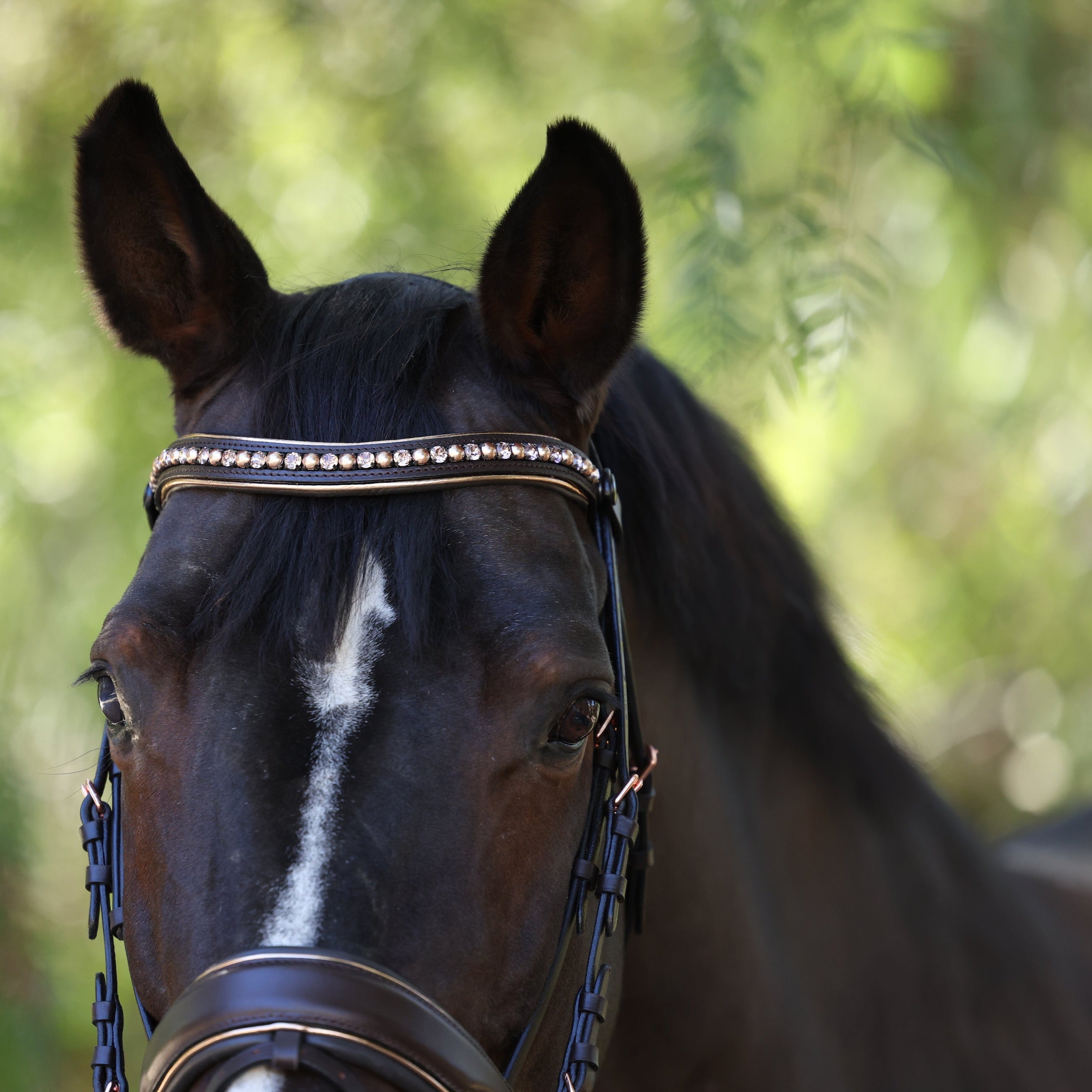 Halter Ego The "Carmel" Brown Leather Anatomical Snaffle Bridle - Halter Ego® - Equiluxe Tack