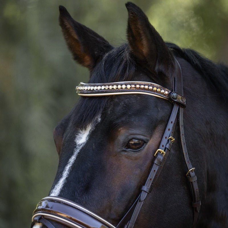 Halter Ego The Catalonia Metallic Bronze Leather Snaffle Bridle - Halter Ego® - Equiluxe Tack