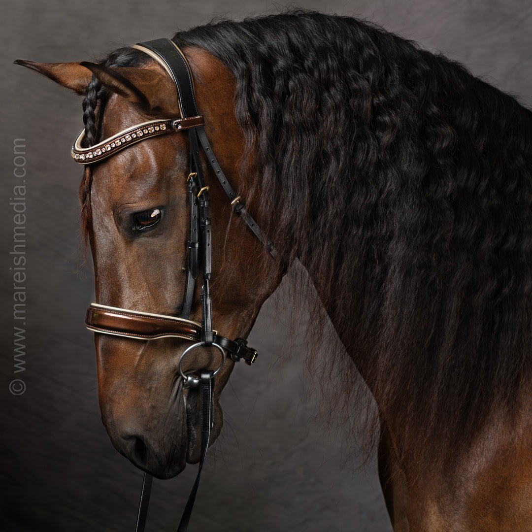 Halter Ego The Champagne Black Leather Snaffle Bridle - Halter Ego® - Equiluxe Tack
