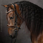 Halter Ego The Champagne Black Leather Snaffle Bridle - Halter Ego® - Equiluxe Tack