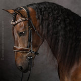 Halter Ego The Champagne Black Leather Snaffle Bridle - Halter Ego® - Equiluxe Tack