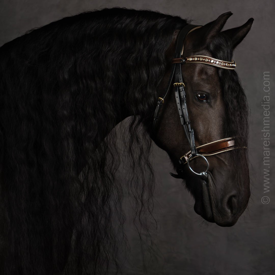 Halter Ego The Champagne Black Leather Snaffle Bridle - Halter Ego® - Equiluxe Tack