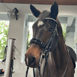 Halter Ego The Diamante Black Patent Sparkle Double Bridle - Equiluxe Tack