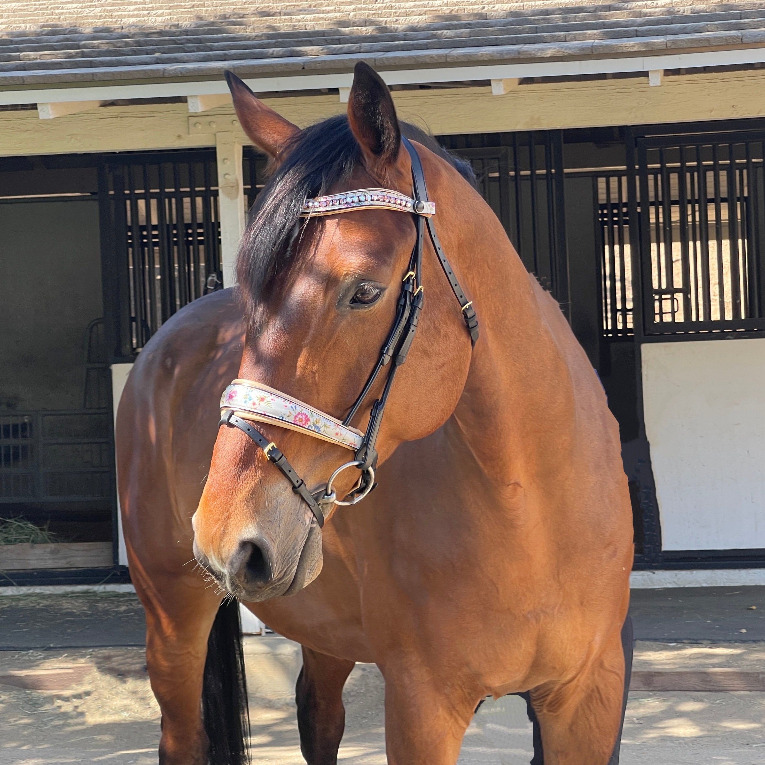 Halter Ego The Dolce Snaffle Bridle - Halter Ego® - Equiluxe Tack