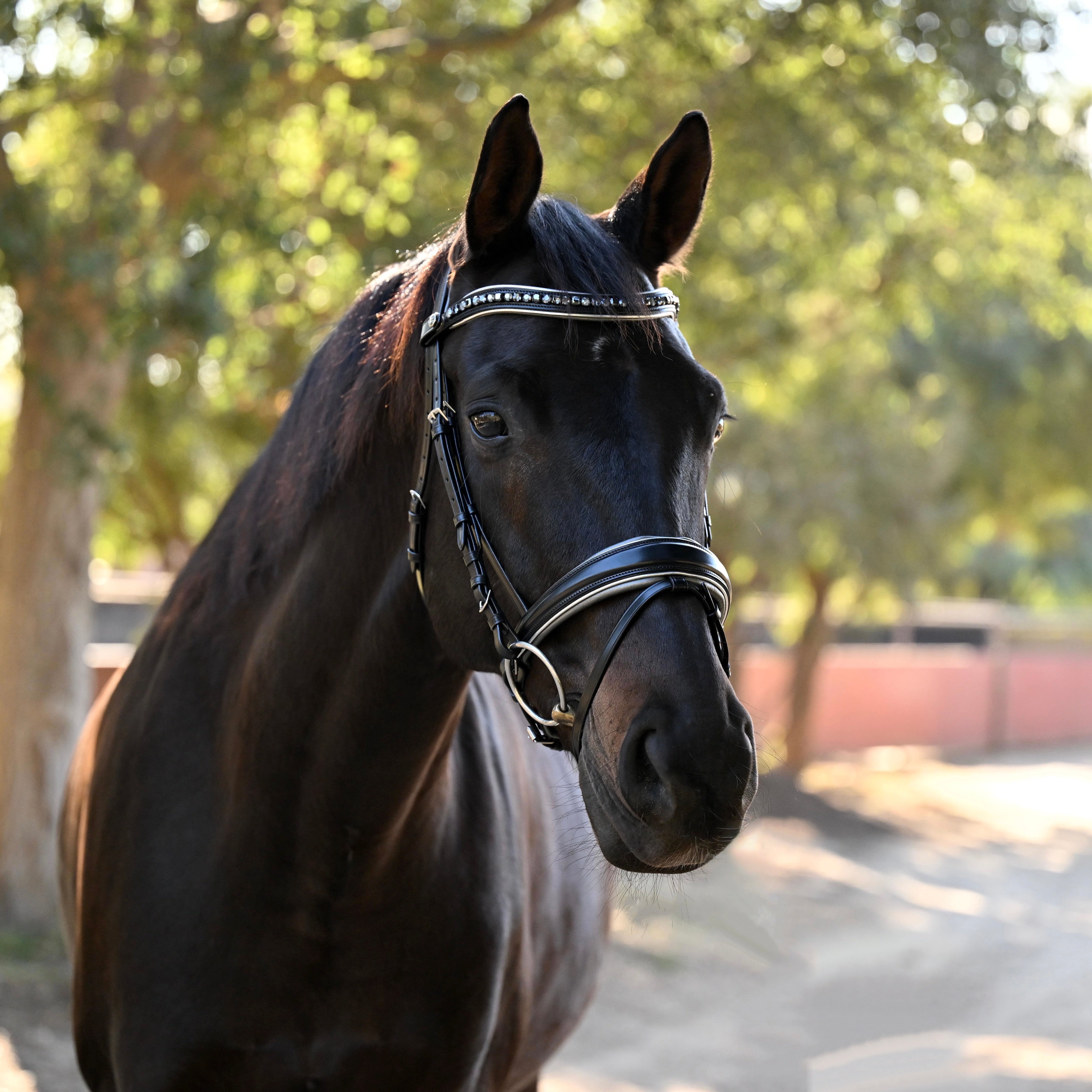 Halter Ego The Eiffel Tower Black Leather Snaffle Bridle - Halter Ego® - Equiluxe Tack