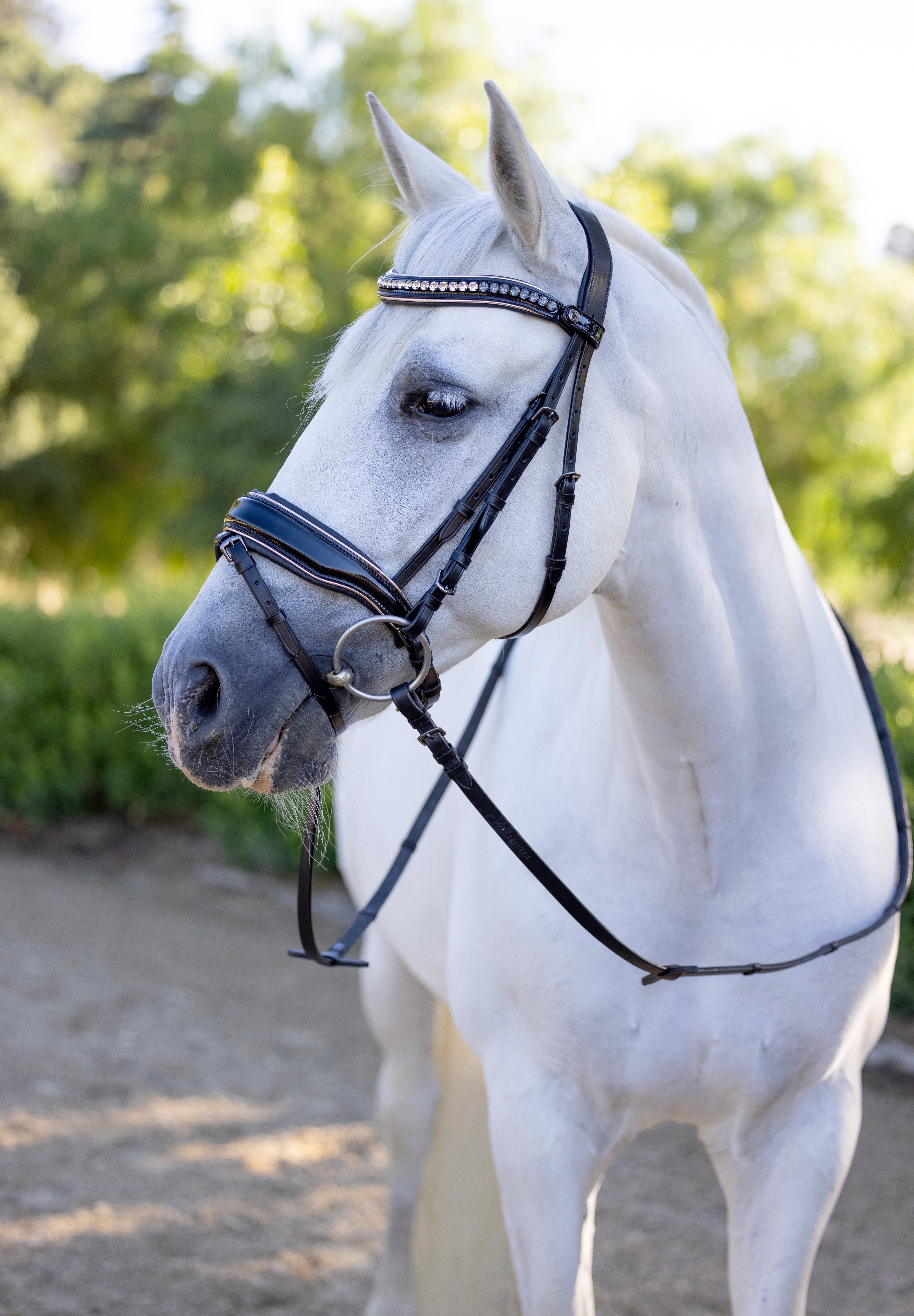 Halter Ego The Gotham Black Patent Snaffle Bridle – Patent Leather | Croc Print | Ombre Austrian Crystal Browband - Equiluxe Tack