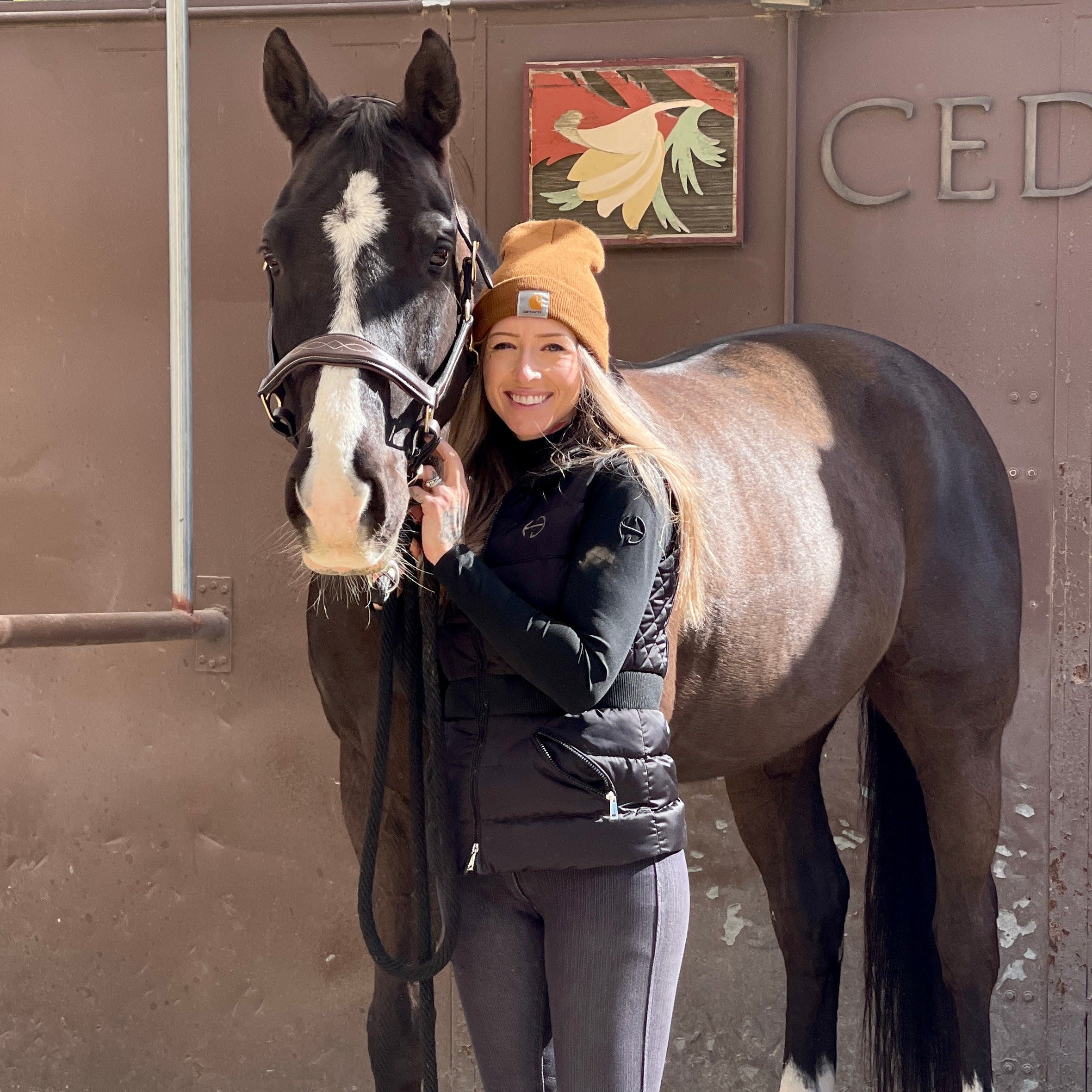 Halter Ego The Hamburg Brown Leather Halter with Fancy Stitching - Halter Ego® - Equiluxe Tack