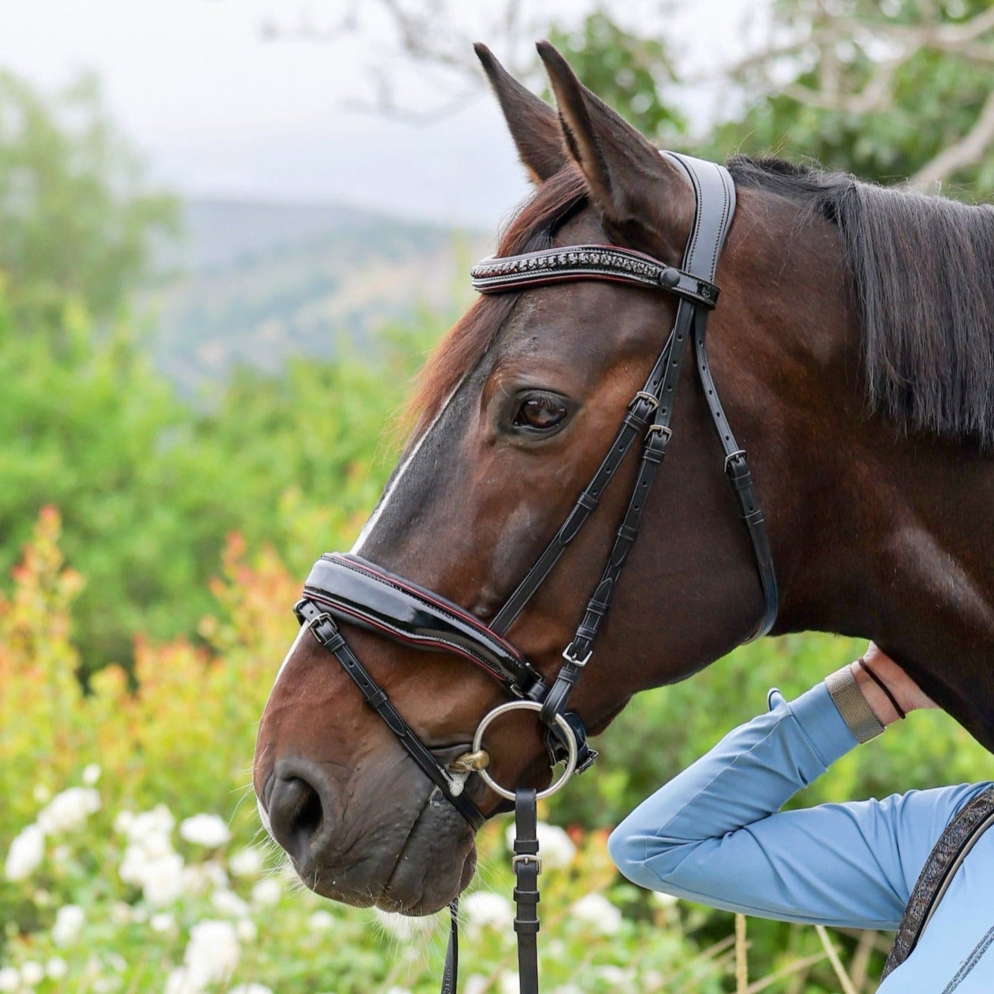 Halter Ego The Hayworth - Black Patent Snaffle with Burgundy Patent Piping & Removable Flash - Halter Ego® - Equiluxe Tack