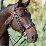 Halter Ego The Hayworth Double - Black Patent Double Bridle - Halter Ego® - Equiluxe Tack