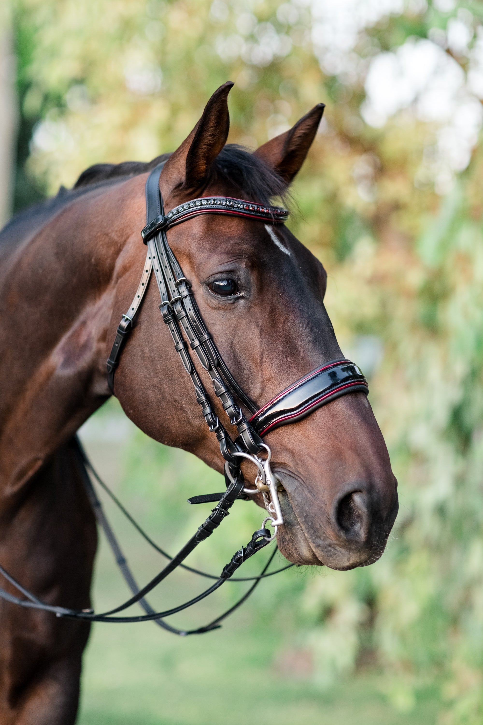 Halter Ego The Hayworth Double - Black Patent Double Bridle - Halter Ego® - Equiluxe Tack