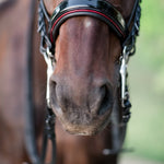Halter Ego The Hayworth Double - Black Patent Double Bridle - Halter Ego® - Equiluxe Tack